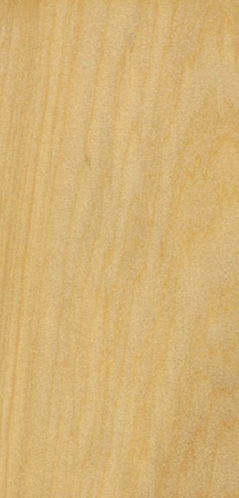 Textura de la madera de Chacá