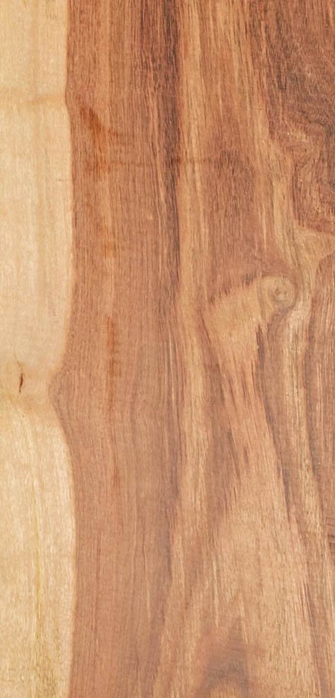 Textura de la madera de Chechén