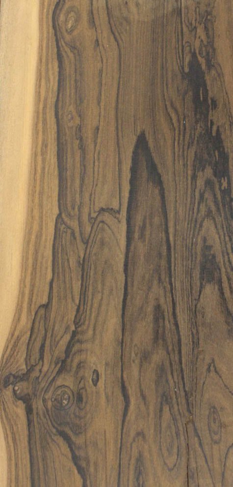 Textura de la madera de CIRICOTE