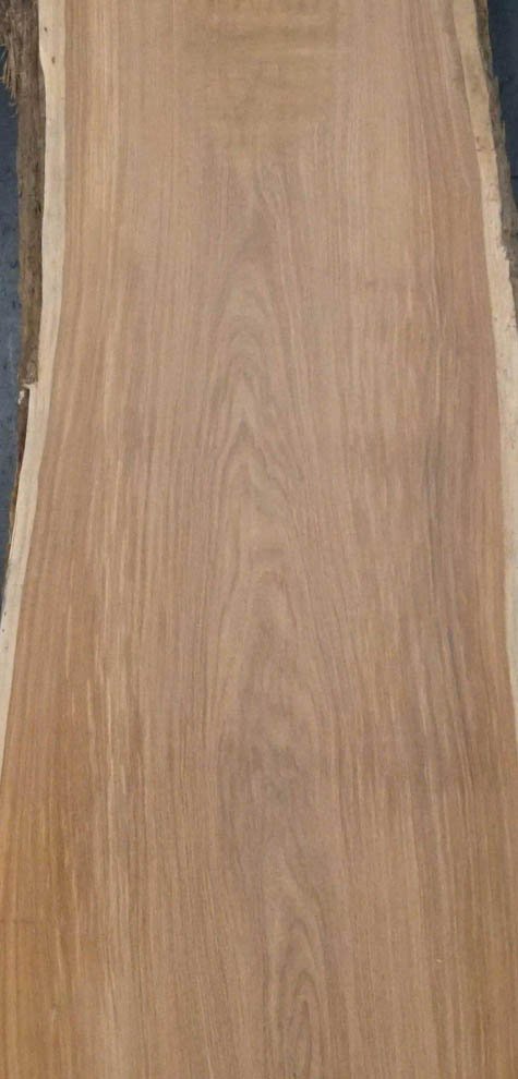 Textura de la madera de CIRICOTE