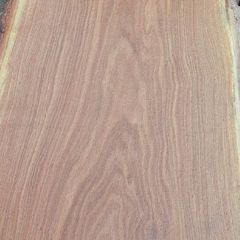 Textura de la madera de ENCINO AMERICANO