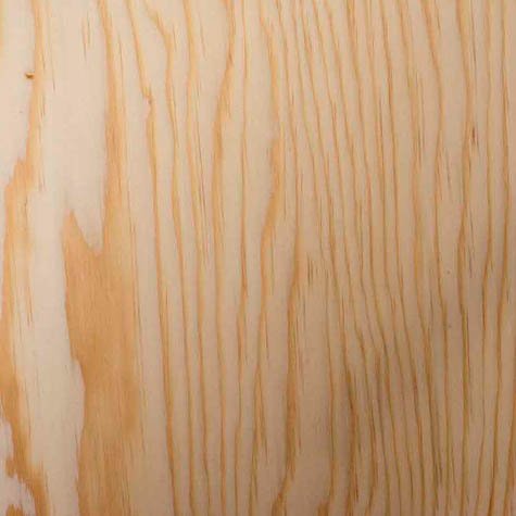 Textura de la madera de PINO