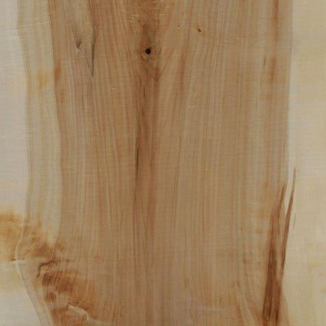 Textura de la madera de POPLAR