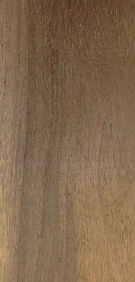 Textura de la madera de pucte